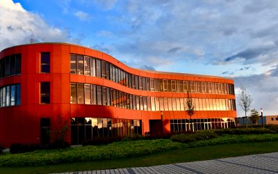 Progressive Rock,  Craft Beer &  Papierallergie